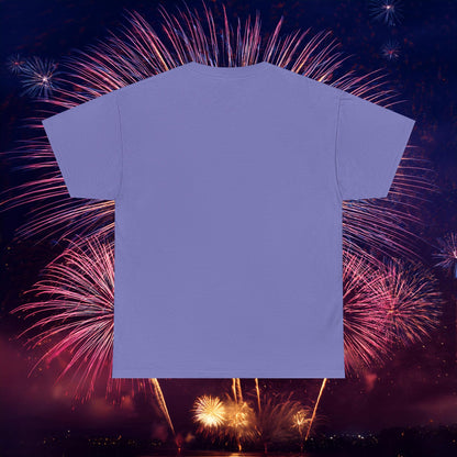 Washington Baseball At Bat Tee