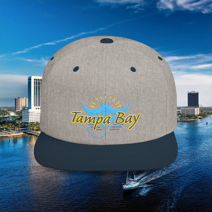 Tampa Bay Baseball Logo Flat Bill Snapback