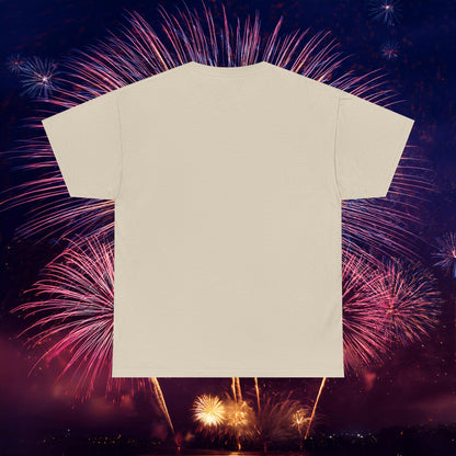 Washington Baseball At Bat Tee