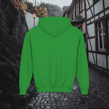 Support Local Street Cats Youth Hoodie