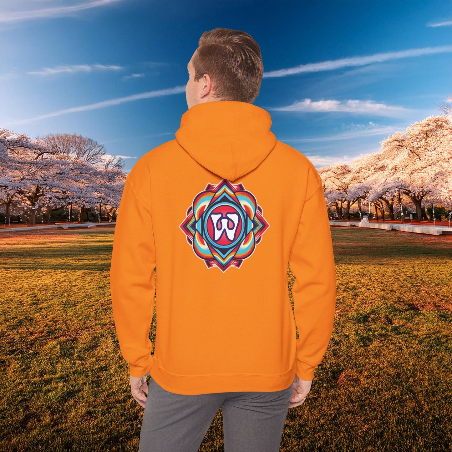 Magical Mystery Nats Hoodie