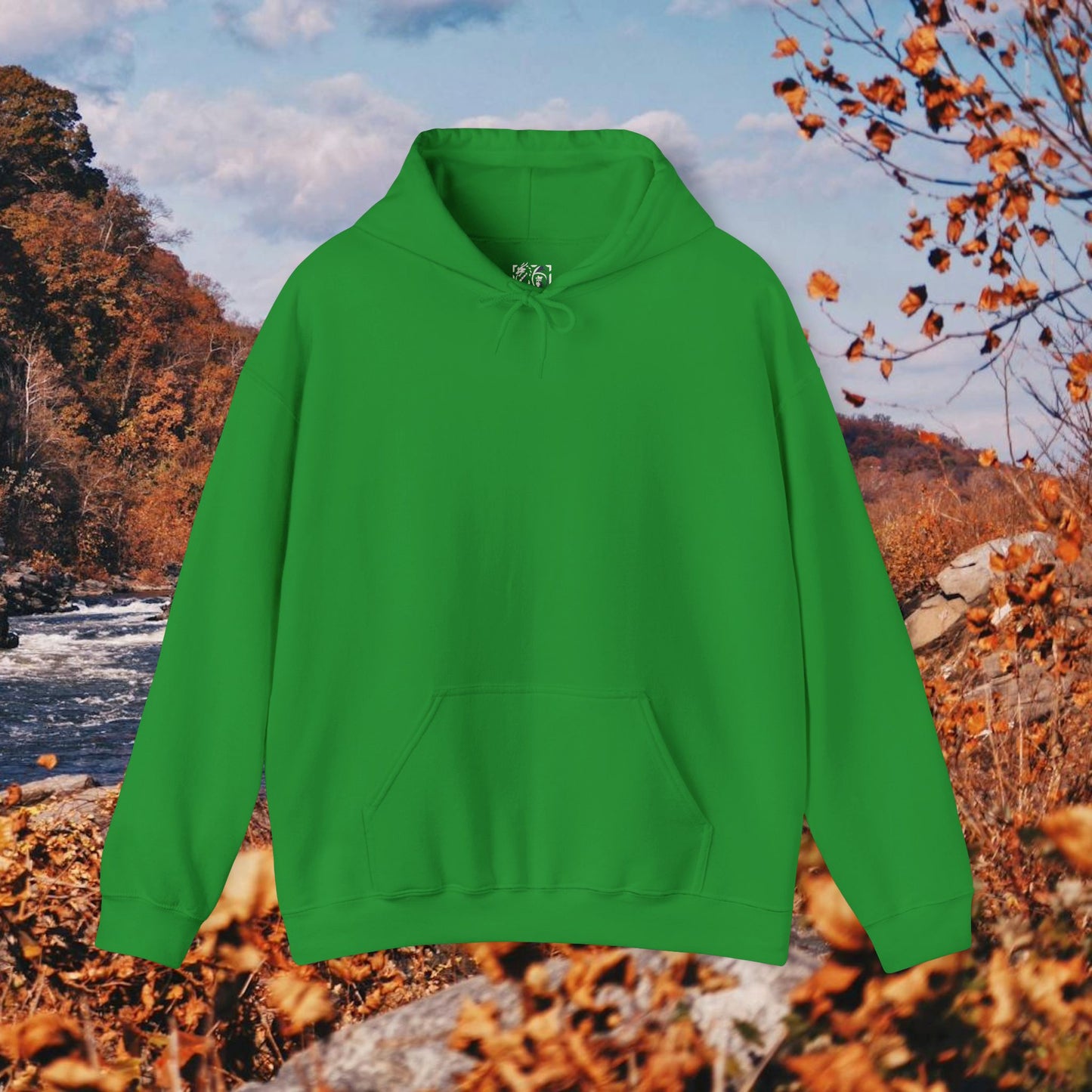 Raccoon Coffee Hoodie