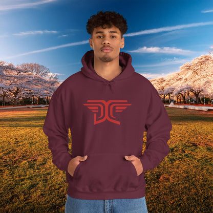 Winged DC Hoodie