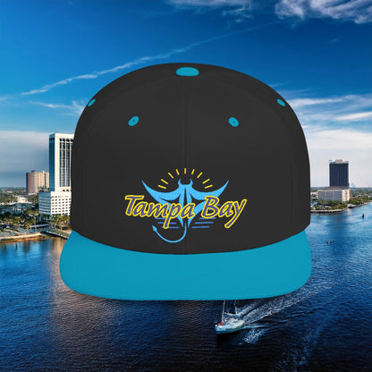 Tampa Bay Baseball Logo Flat Bill Snapback