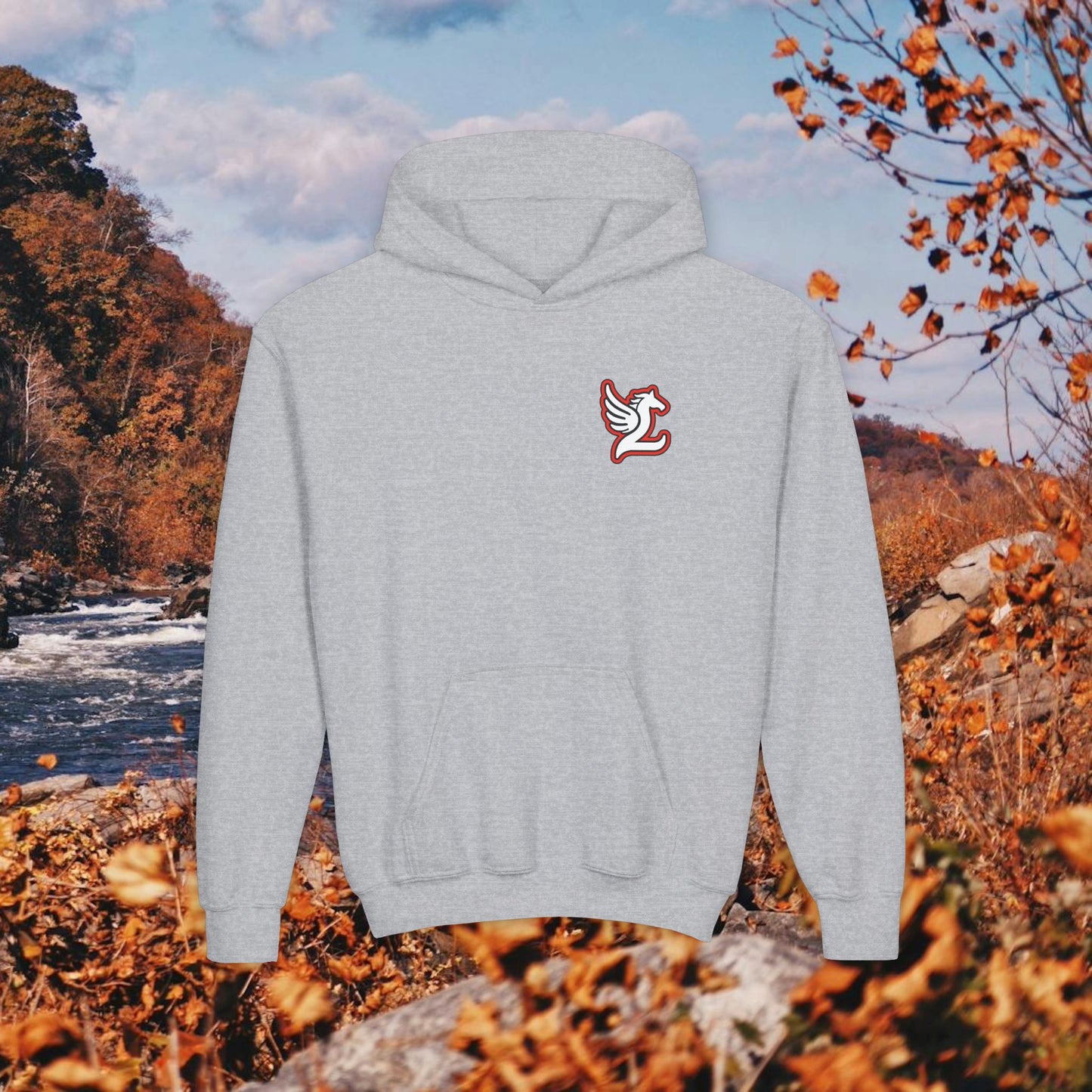 Loudoun Pegasus Youth Hoodie