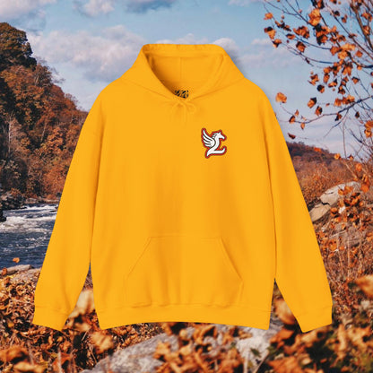 Loudoun Pegasus Hoodie