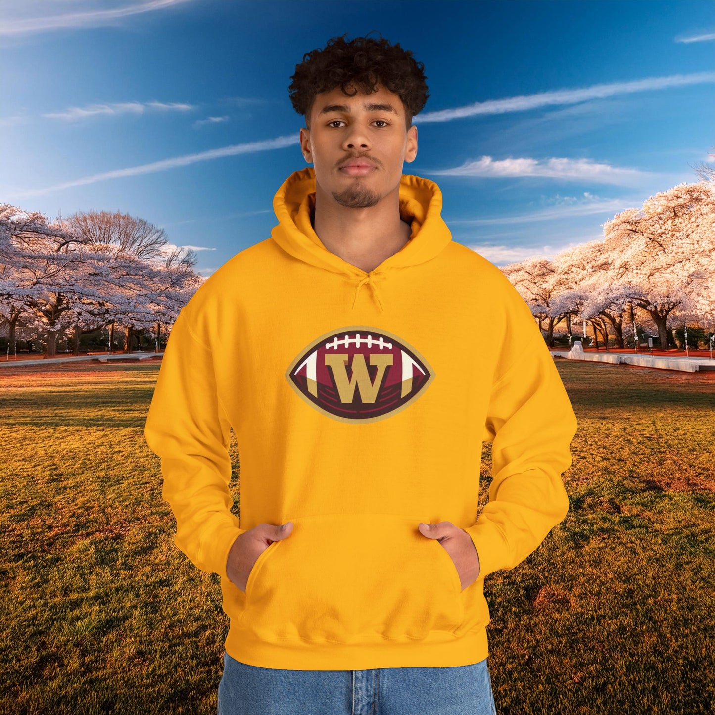 Washington Football Logo Hoodie