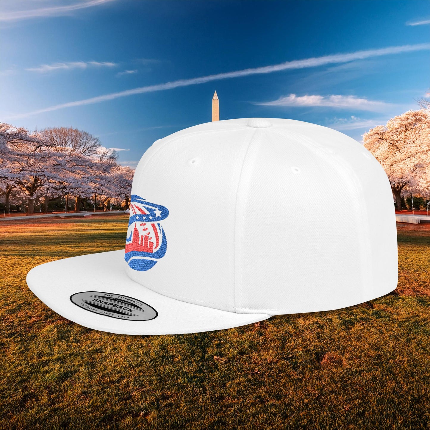 Abstract Washington Baseball Logo Flat Bill Snapback