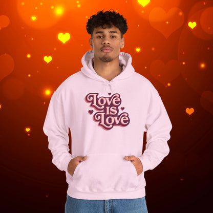Love Is Love Hoodie