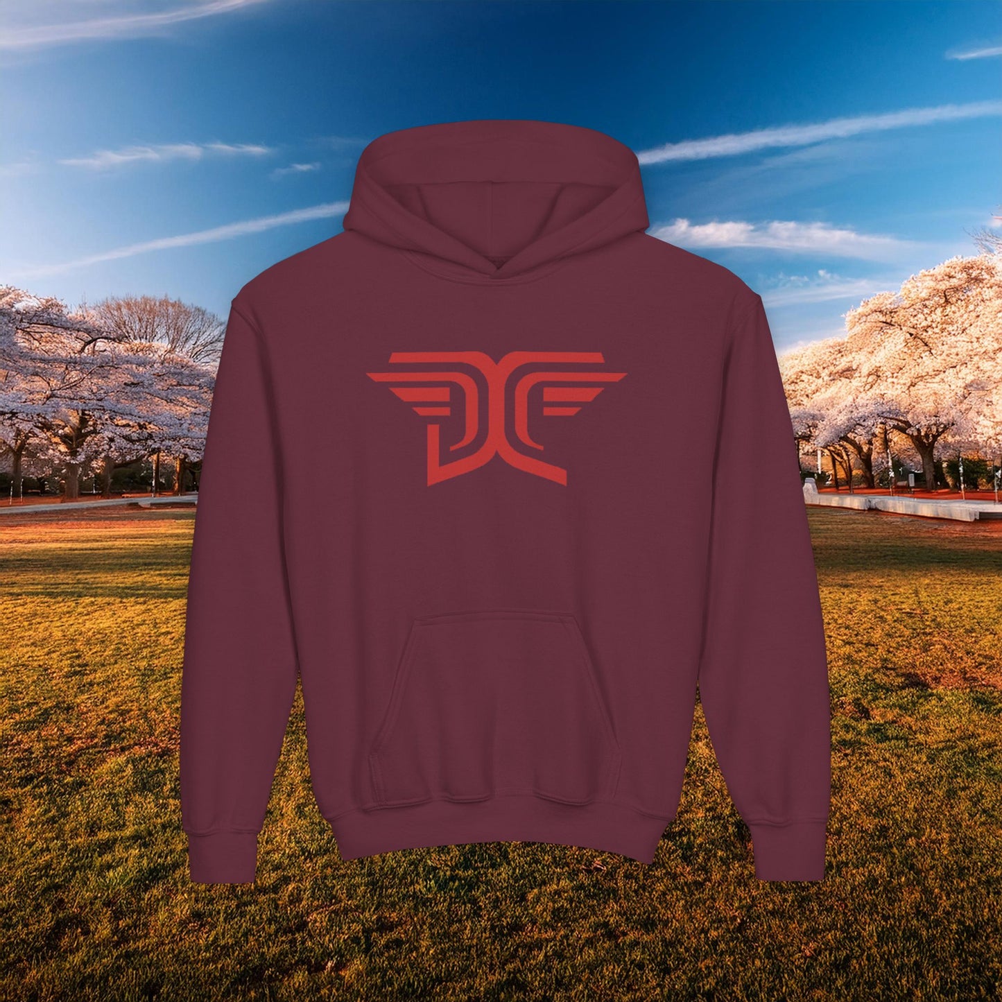 Winged DC Youth Hoodie