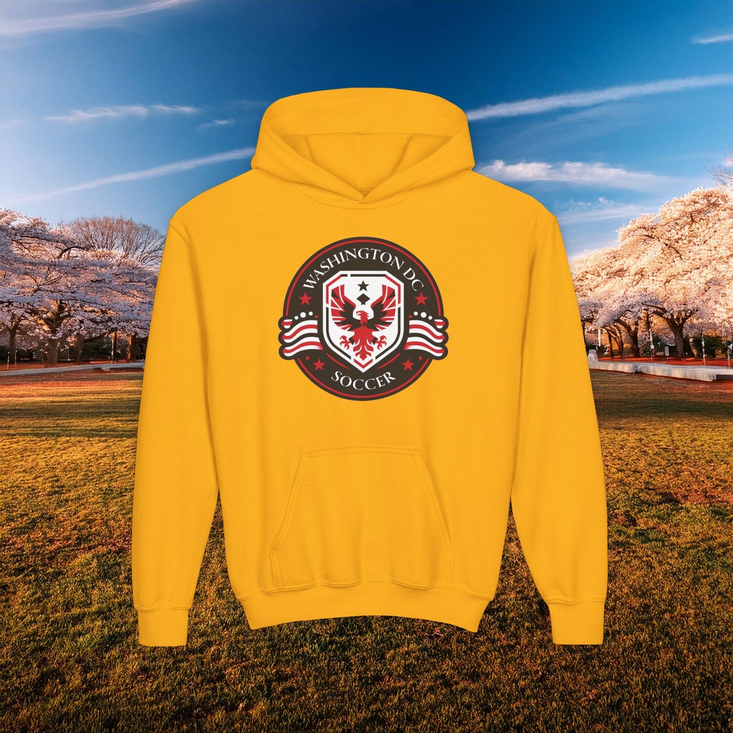 DC United Crest Youth Hoodie