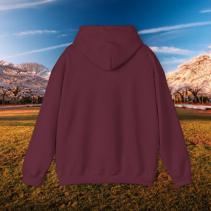 Washington DC Football Logo Hoodie