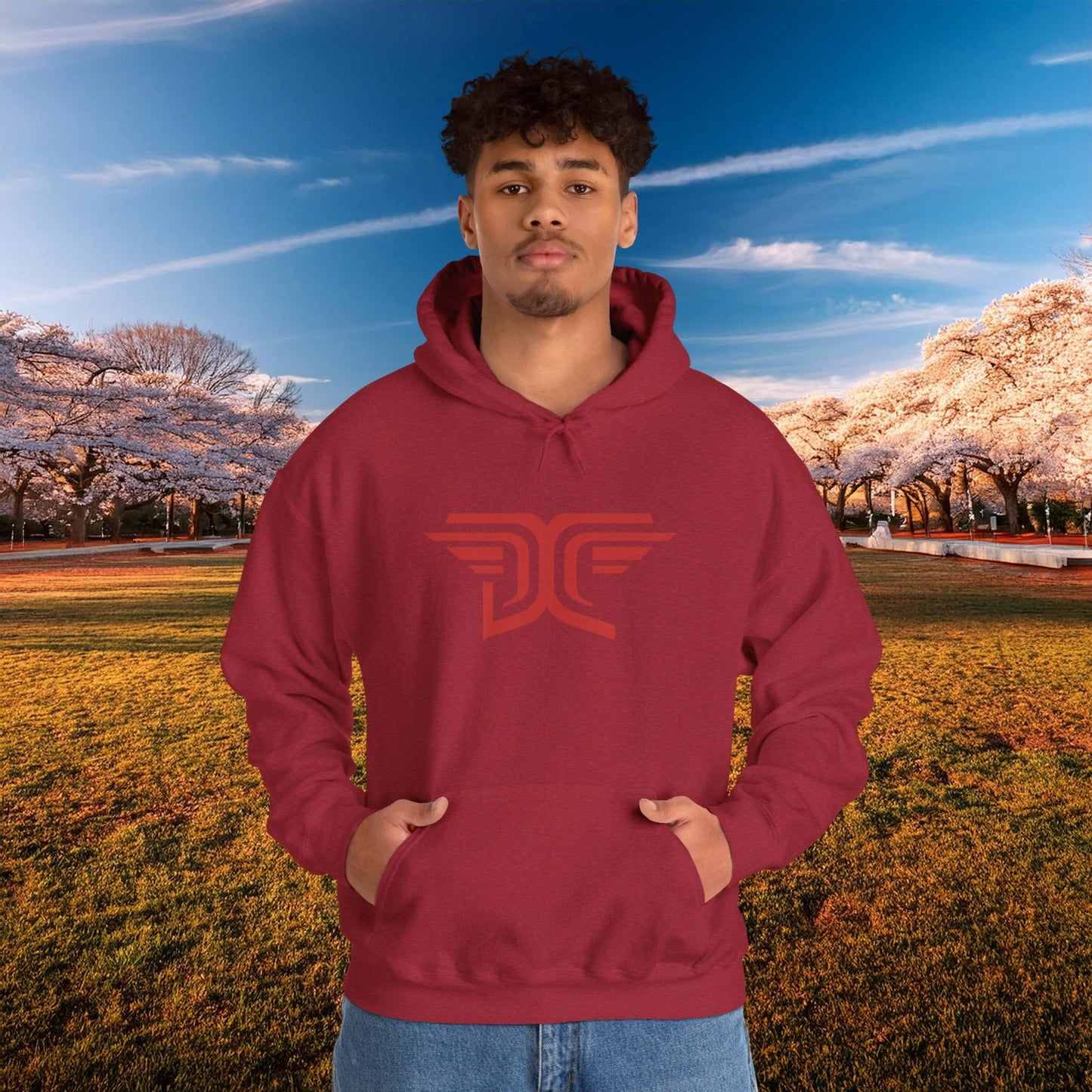 Winged DC Hoodie