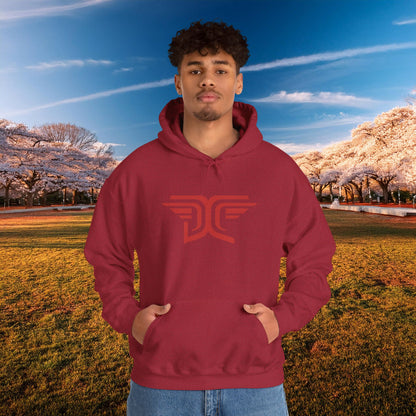 Winged DC Hoodie