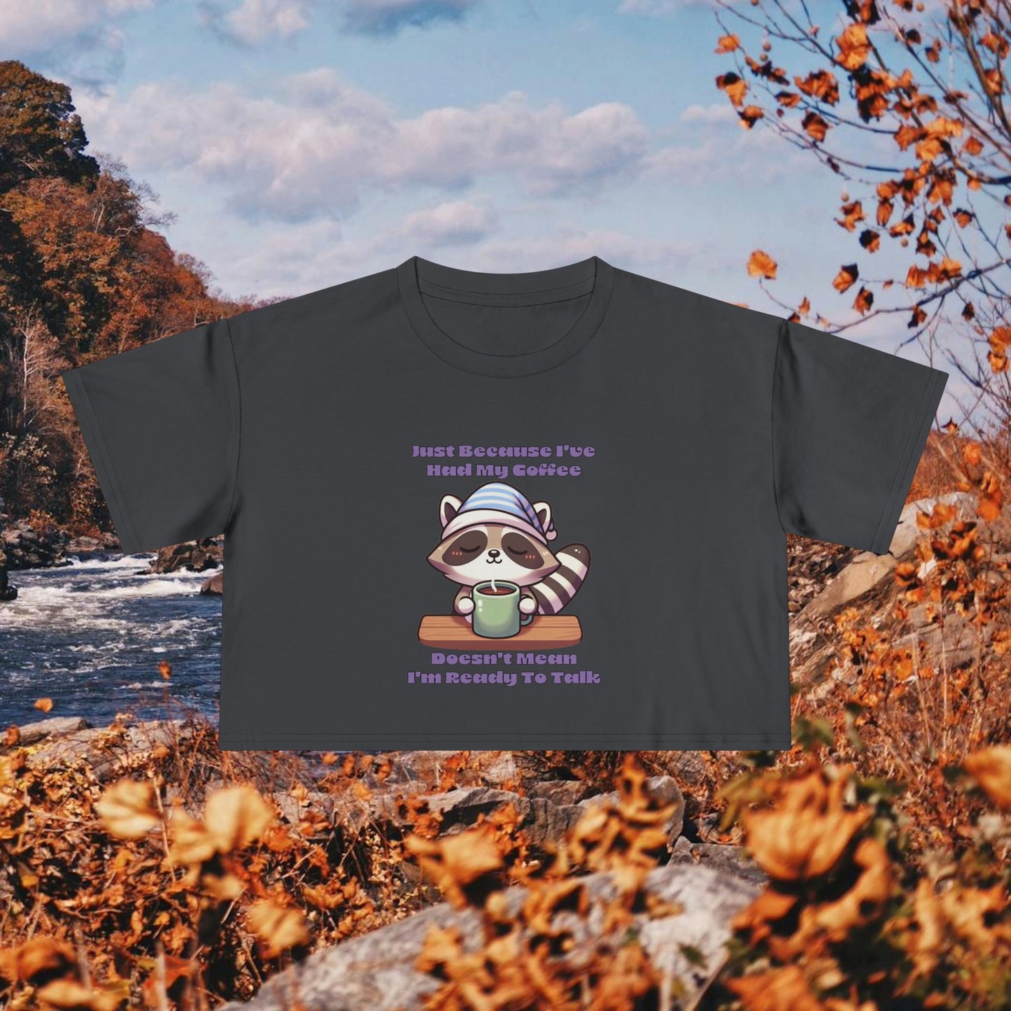 Raccoon Coffee Women's Crop Tee