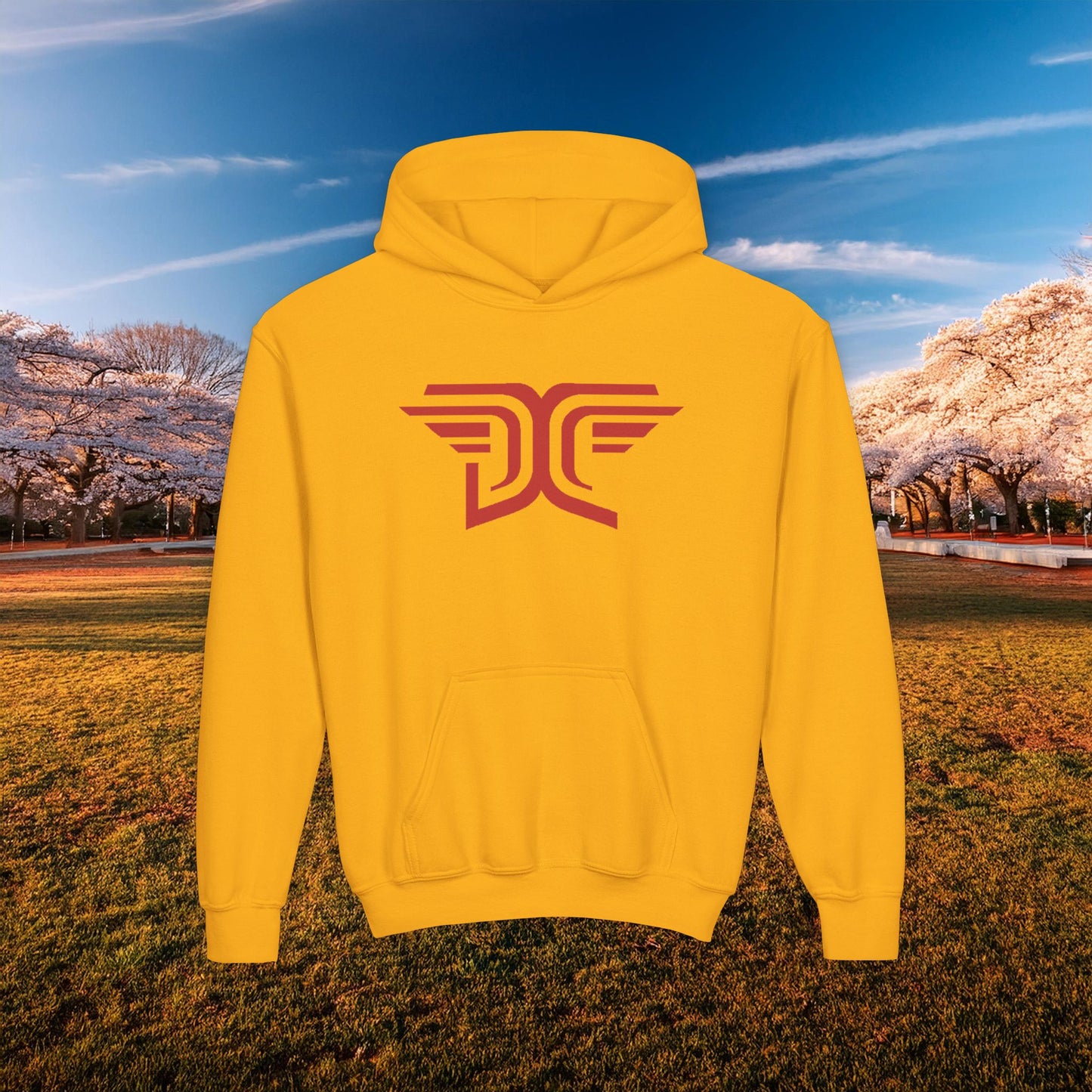 Winged DC Youth Hoodie