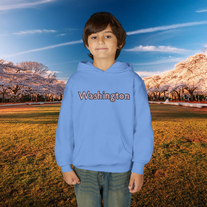 Washington Cherry Blossom Design Youth Hoodie