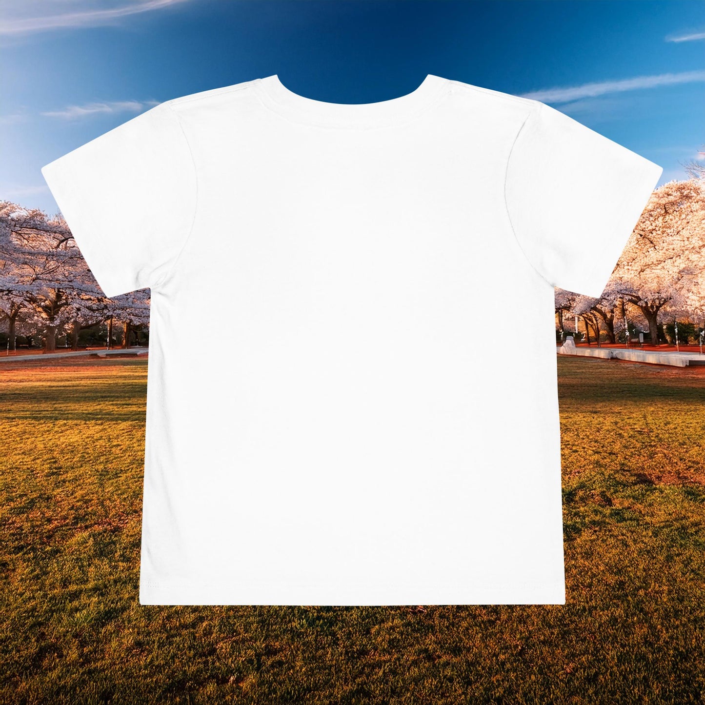 Winged DC Toddler Tee