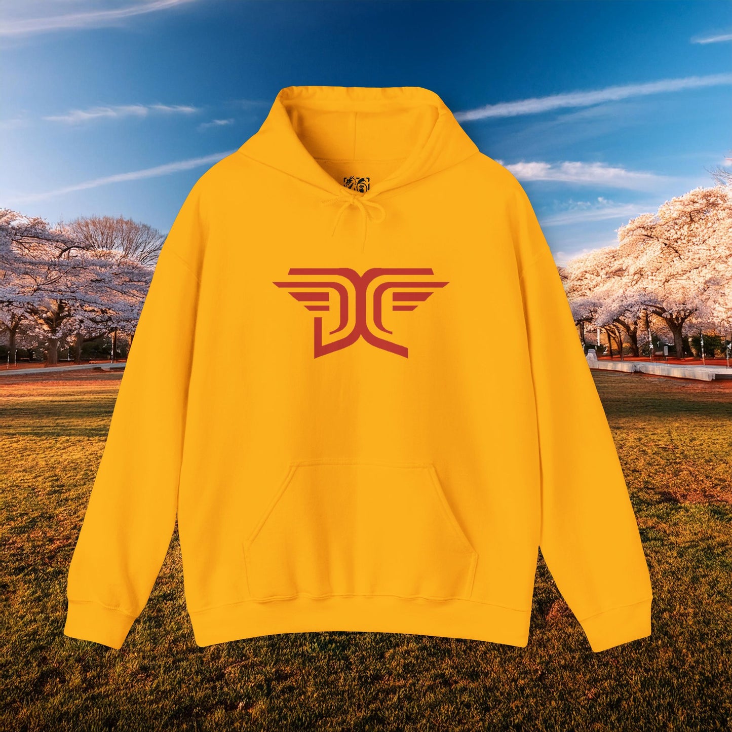 Winged DC Hoodie