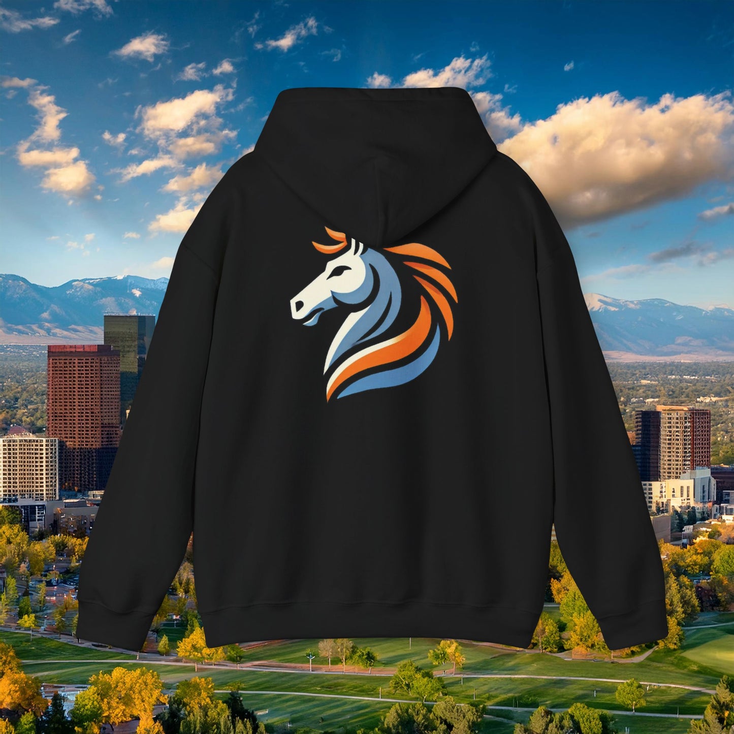 Bronco Hoodie