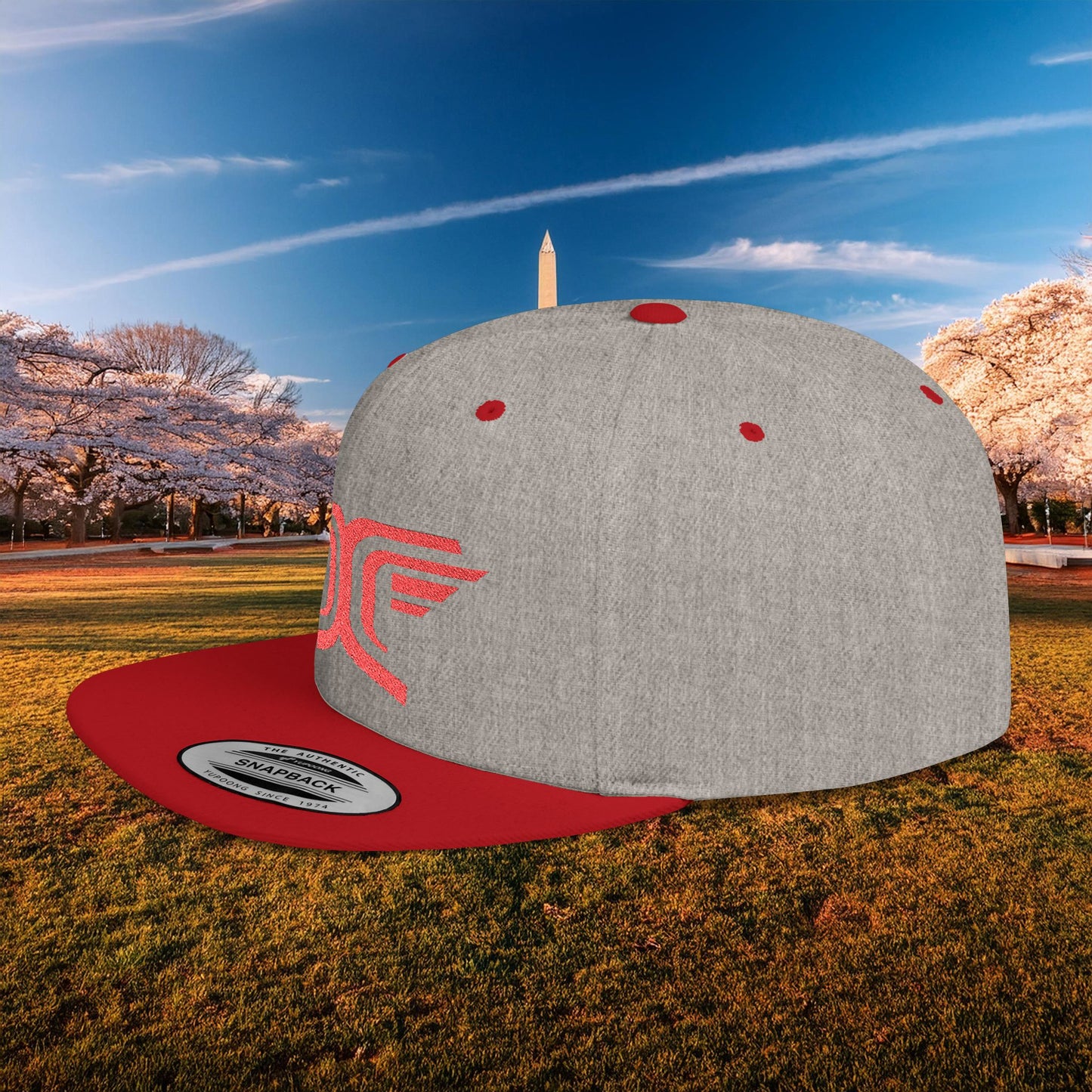 Winged DC Flat Bill Snapback