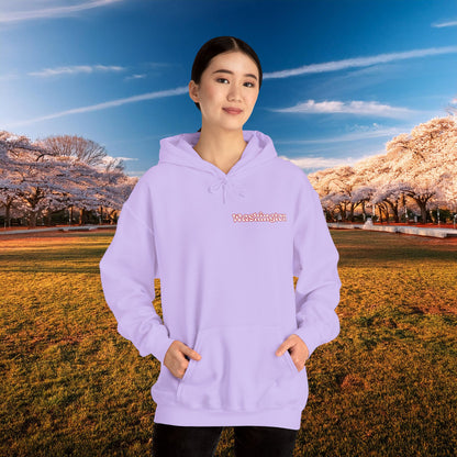 Magical Mystery Nats Hoodie