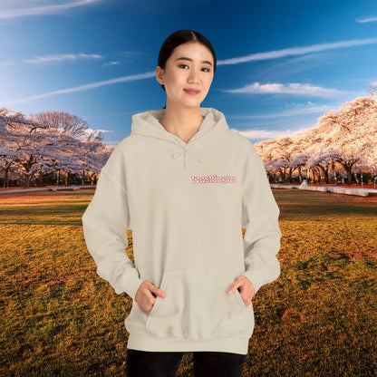 Magical Mystery Nats Hoodie