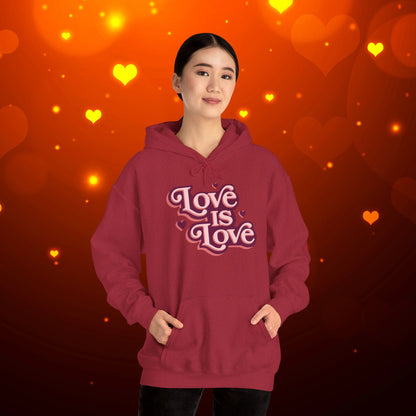 Love Is Love Hoodie