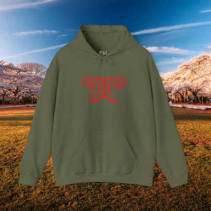Winged DC Hoodie