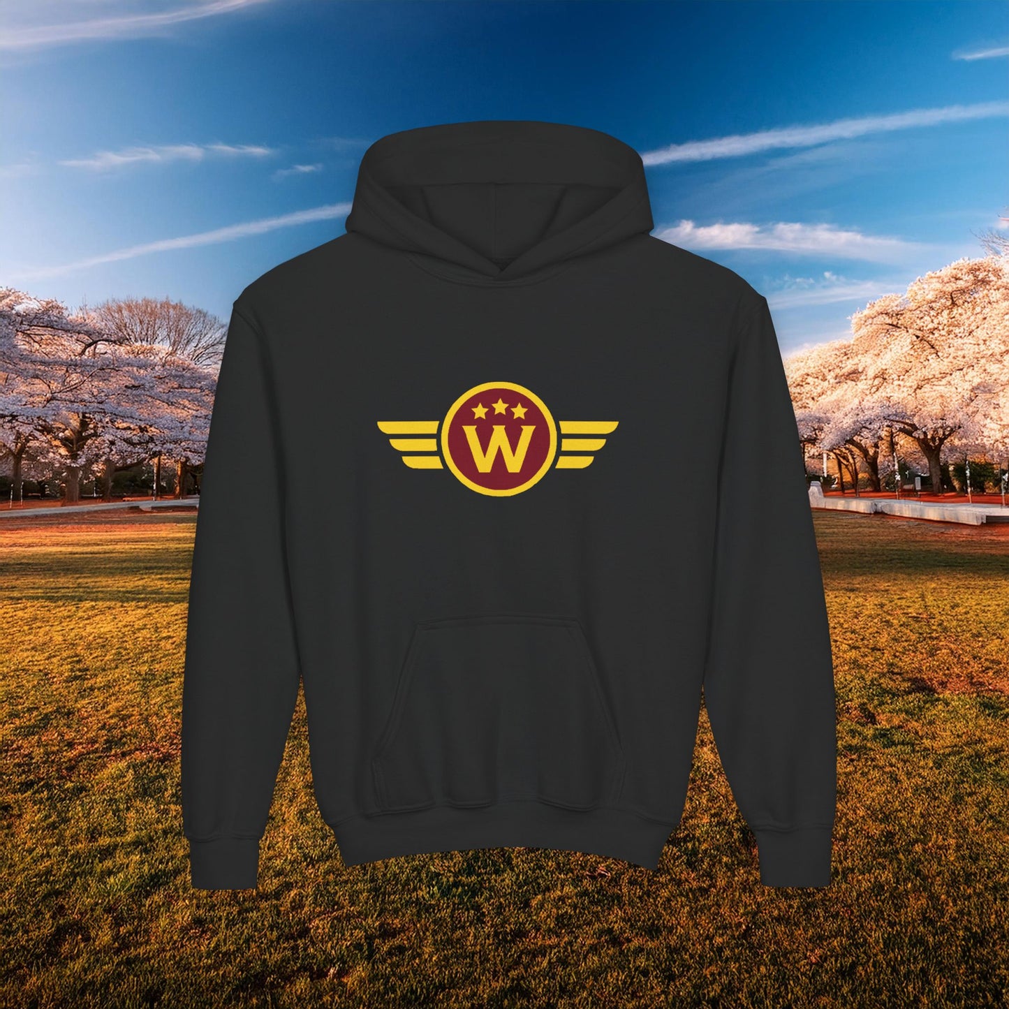 Washington DC Football Logo Youth Hoodie