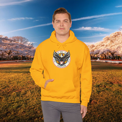 DC United Logo Hoodie