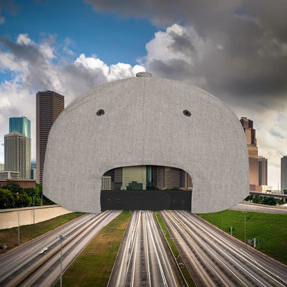 Houston Astronaut Flat Bill Snapback