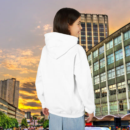 Villans Youth Hoodie