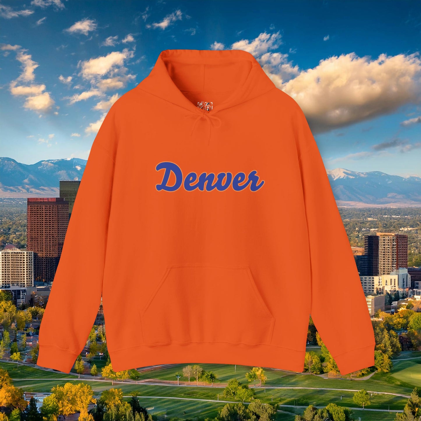 Bronco Hoodie