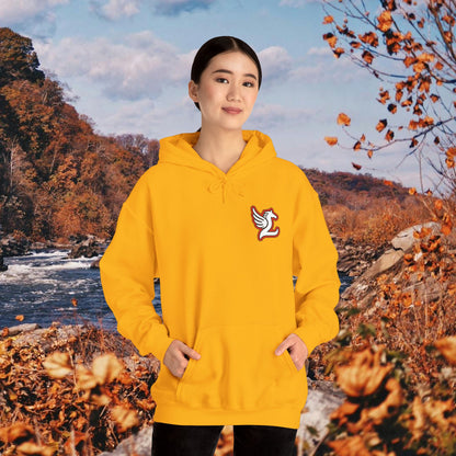 Loudoun Pegasus Hoodie