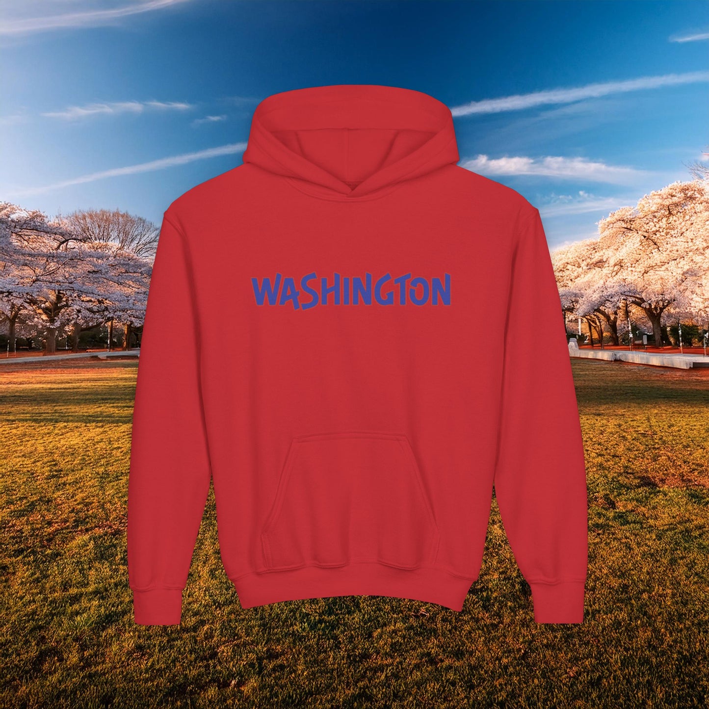 Washington Spirit Red/Blue Design Youth Hoodie