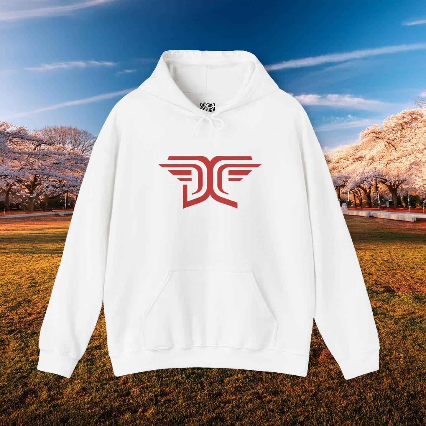 Winged DC Hoodie