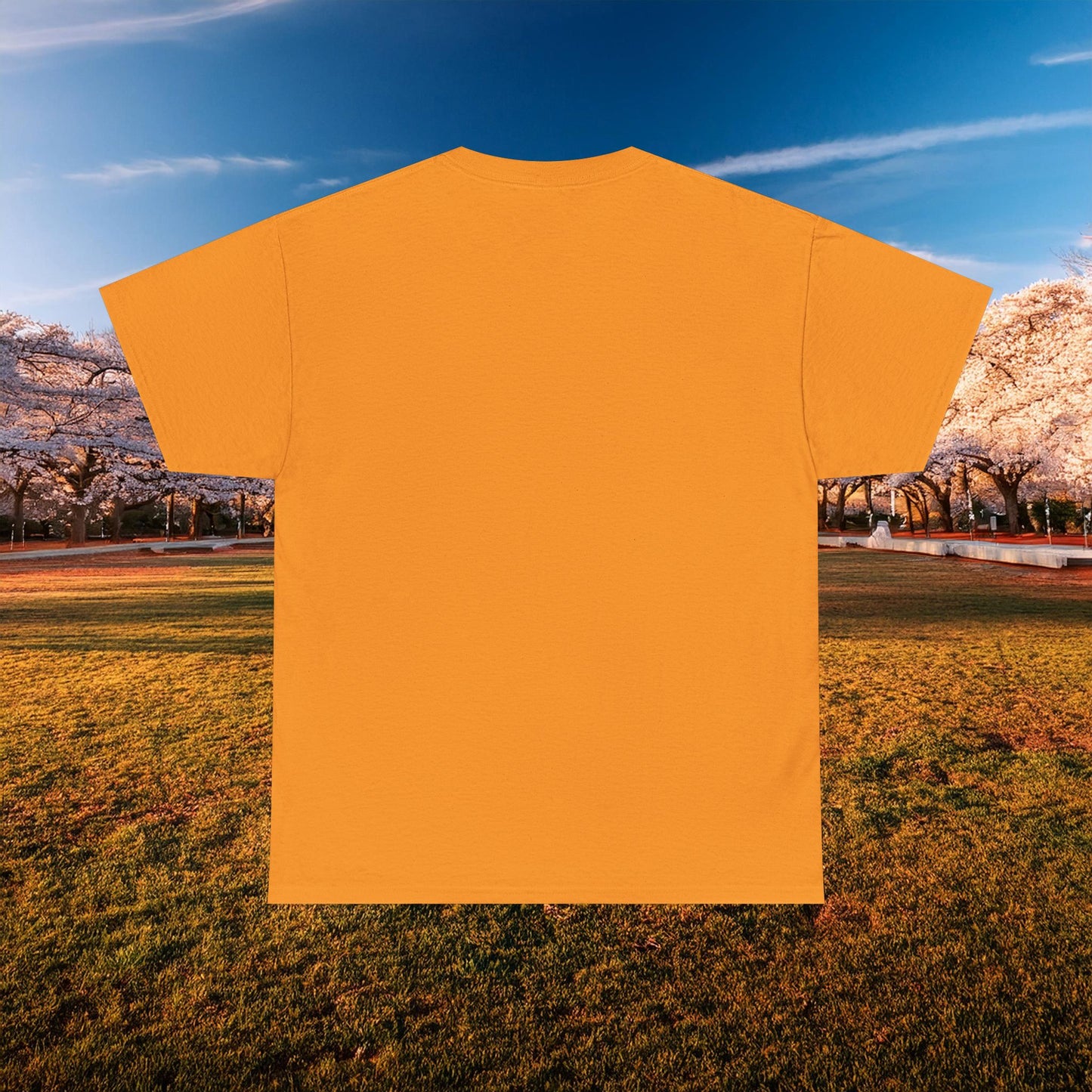 Washington D.C. Psychedelic Wizard Tee