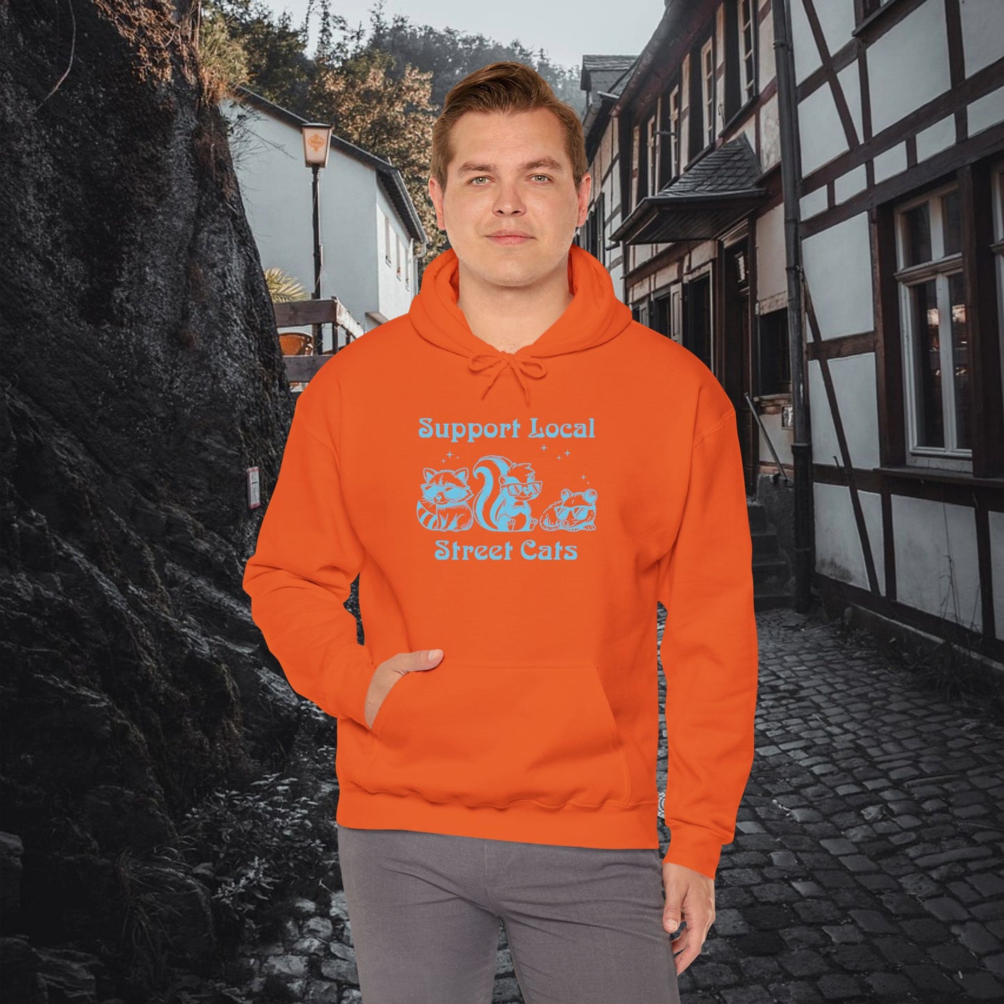 Support Local Street Cats Hoodie