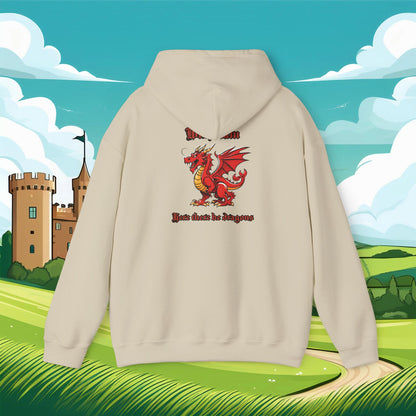 Wrexham Dragon Hoodie