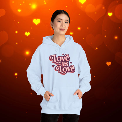 Love Is Love Hoodie