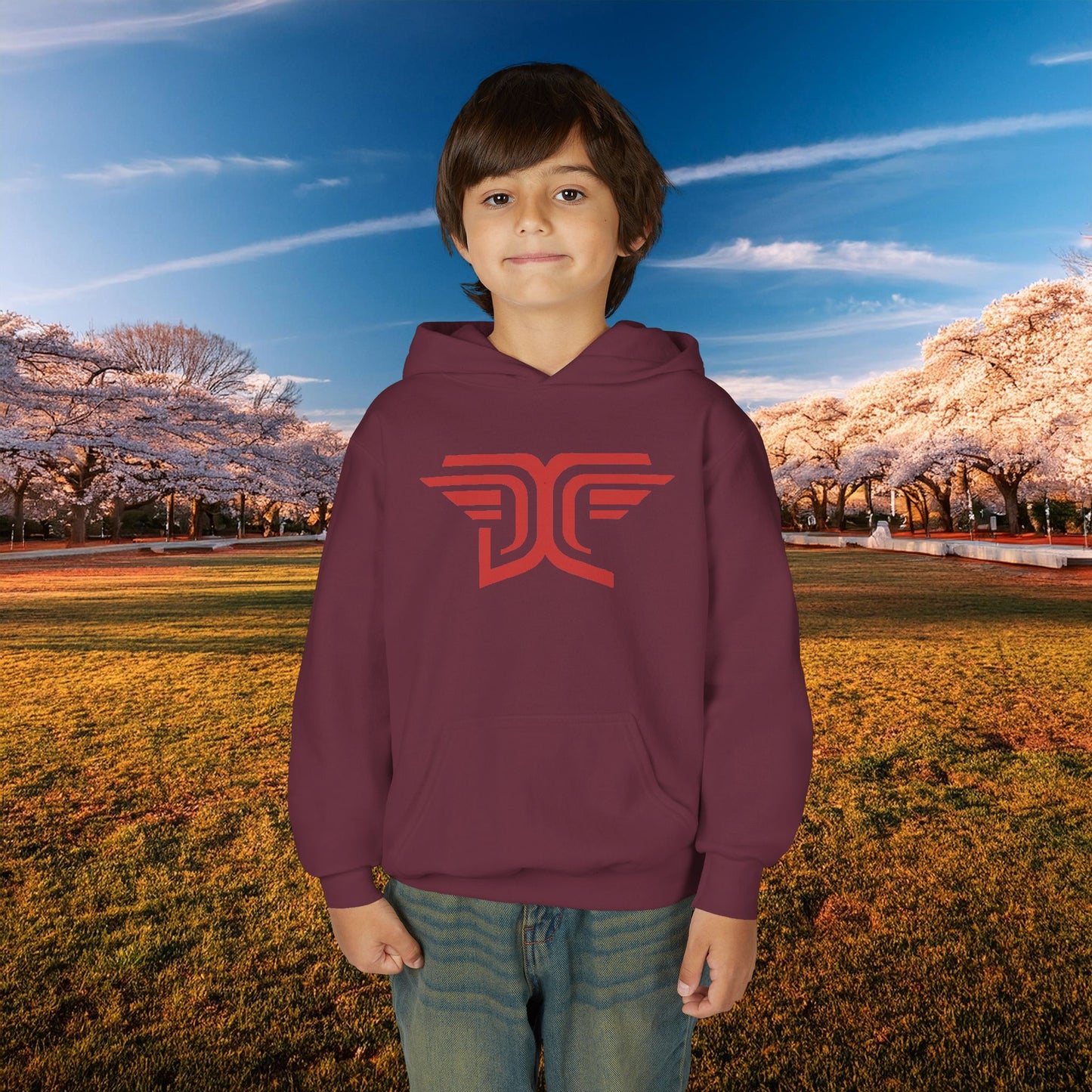 Winged DC Youth Hoodie