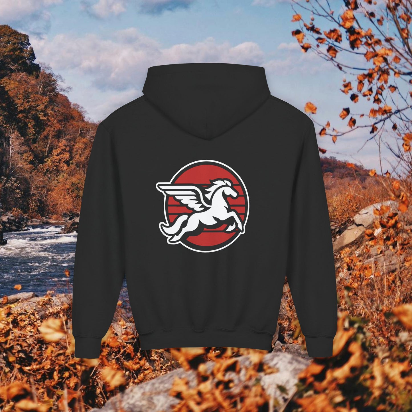 Loudoun Pegasus Youth Hoodie