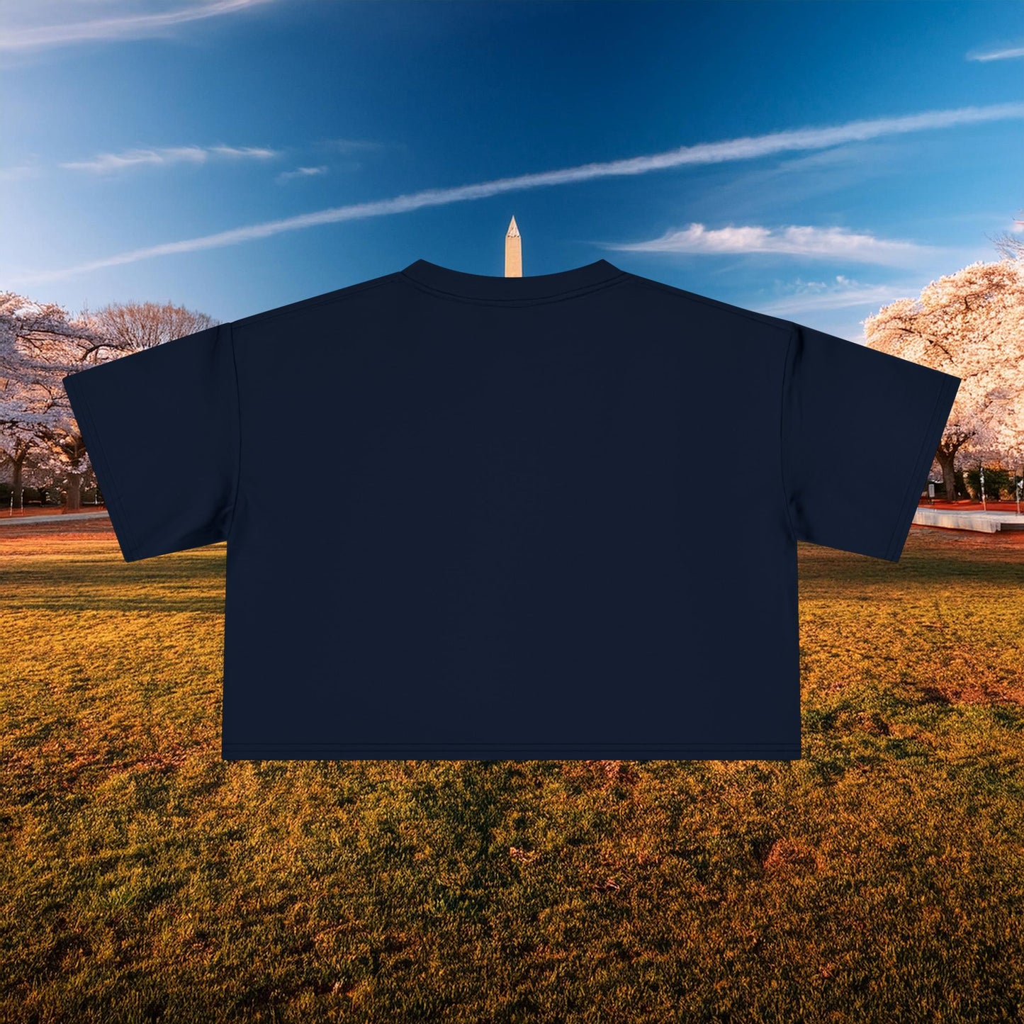 Psychedelic Wizard's Player Women's Crop Tee