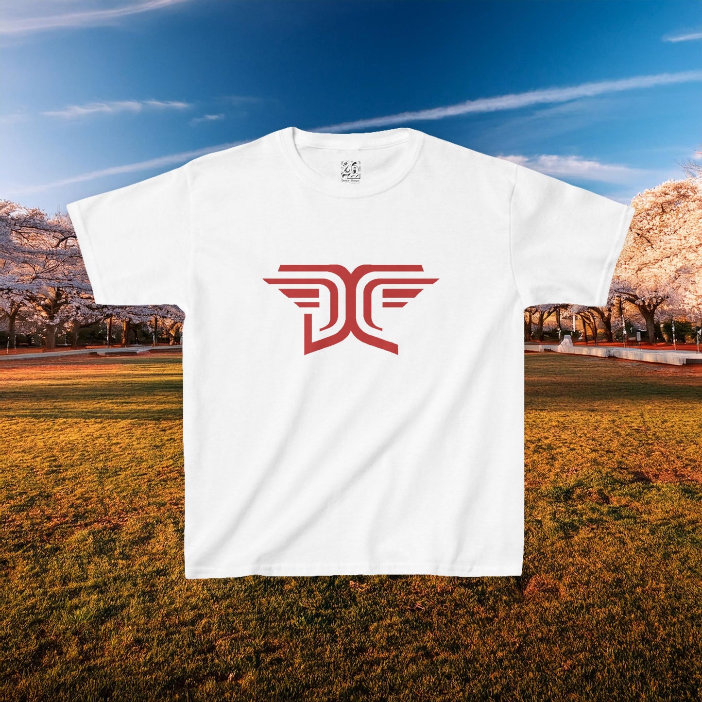 Winged DC Kids Tee