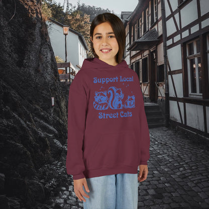 Support Local Street Cats Youth Hoodie