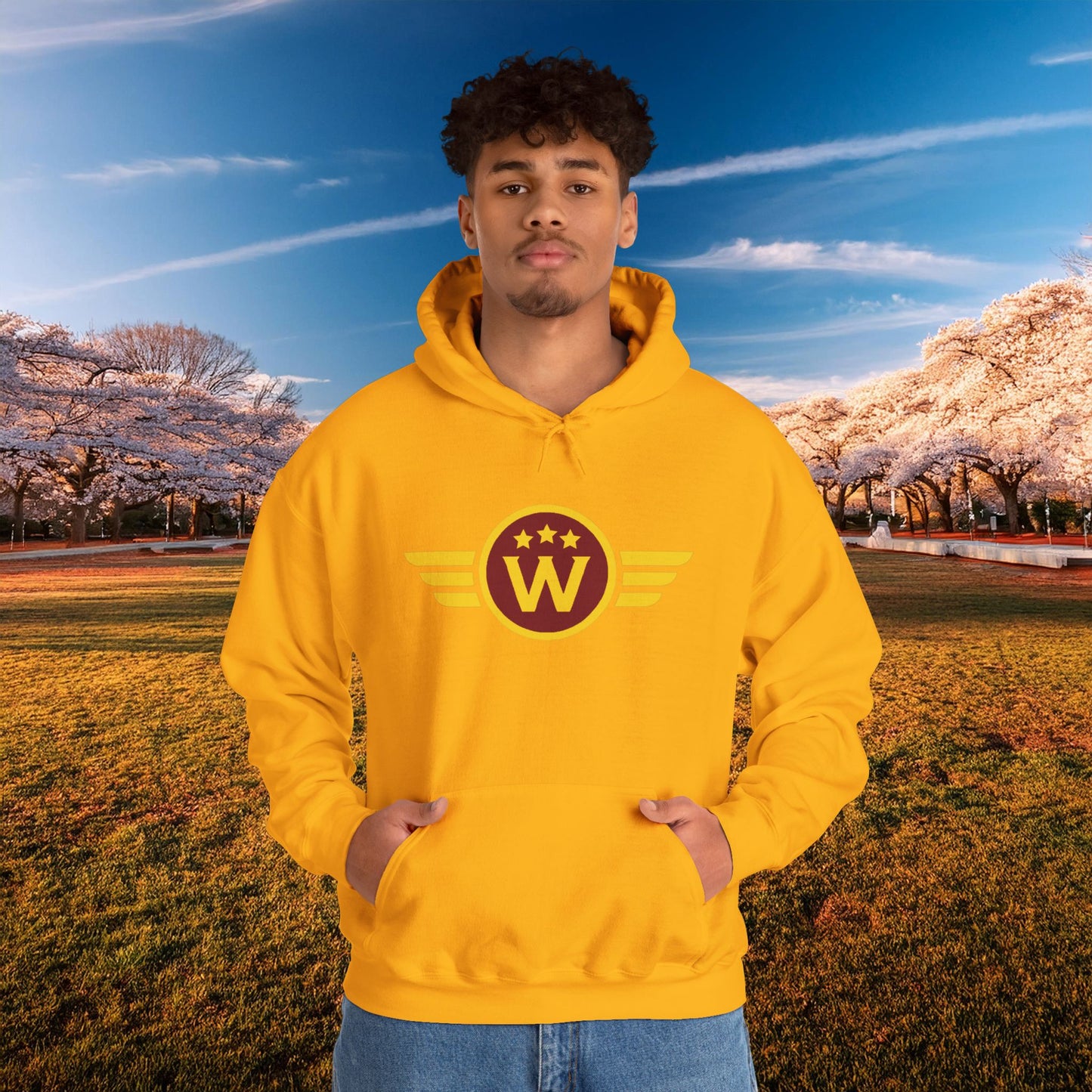 Washington DC Football Logo Hoodie