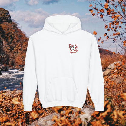 Loudoun Pegasus Youth Hoodie