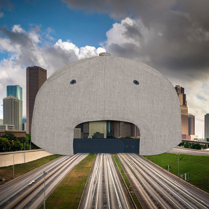 Houston Asteroid Flat Bill Snapback