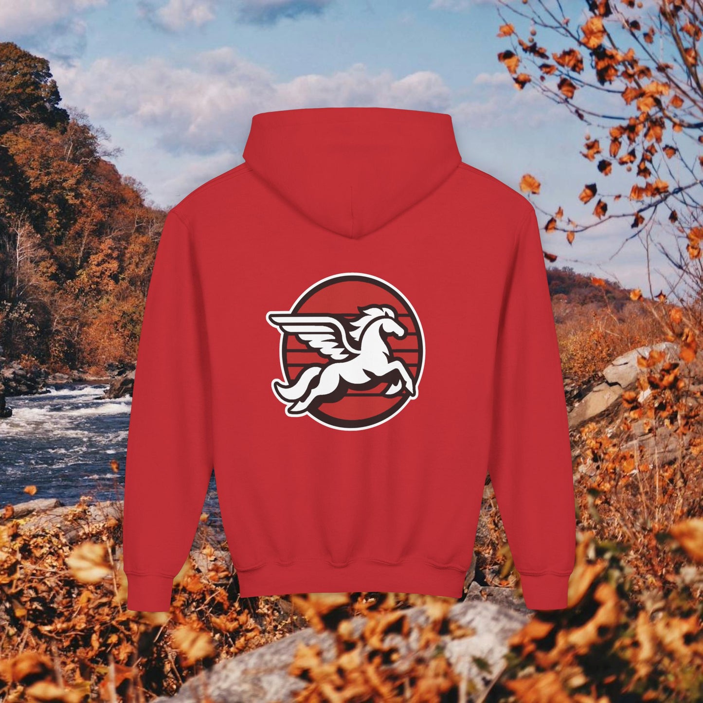Loudoun Pegasus Youth Hoodie